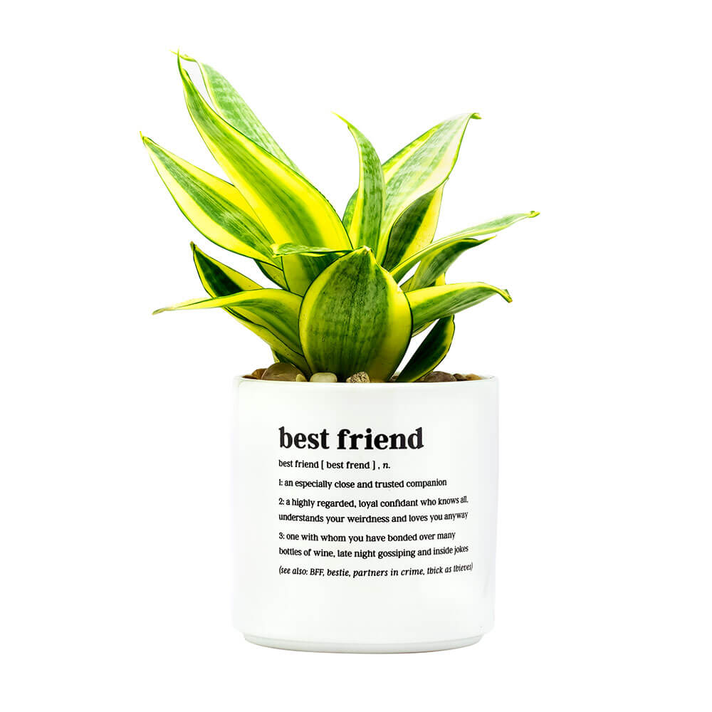 DEFINED BEST FRIEND PLANTER - Creative Printz