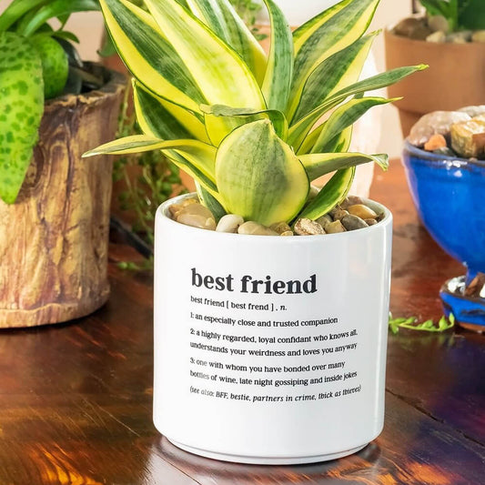 DEFINED BEST FRIEND PLANTER - Creative Printz