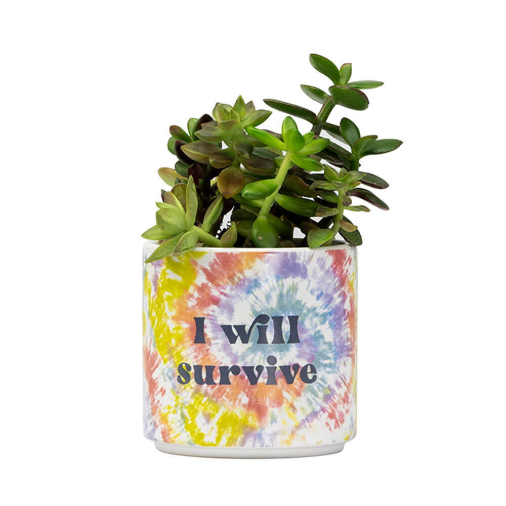 BLURRED I WILL SURVIVE TIE DYE PLANTER - SMALL - Creative Printz